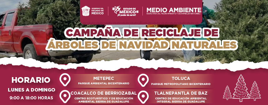 Recolección de Árboles de Navidad Naturales