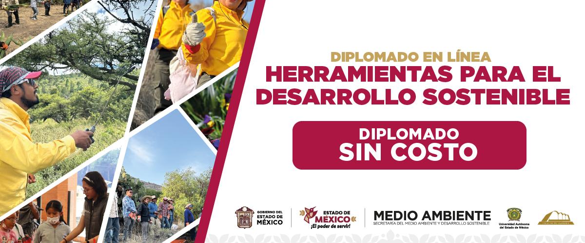 Diplomado